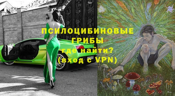 круглые Аркадак