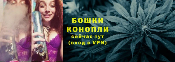 прущие грибы Балабаново